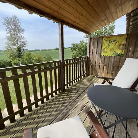 Luxurious In With Swimming Pool Rabastens