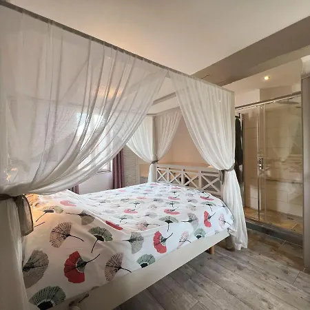 Luxurious In With Swimming Pool * Rabastens
